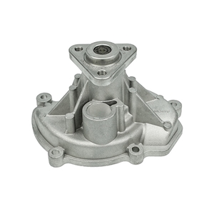 Water Pump with Gasket - 94810603301