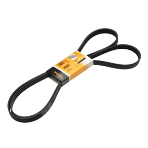 Belt - 6K X 2250 - 99710215190