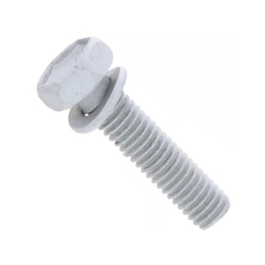 Transmission Pan Bolt (6 X 25 mm) - WHT005511
