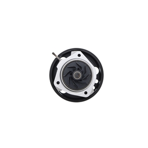 Water Pump with Gasket - 95810603304