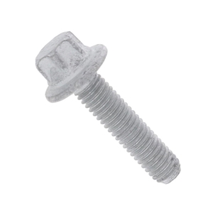 Oil Level Sensor Bolt (6 X 25 mm) - 9A700812700