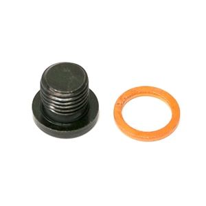 Wheel Bearing Retainer Bolt