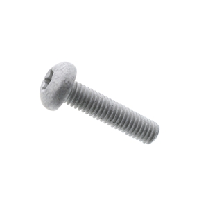 Water Pump Bolt (6 X 25 mm) - N10413405