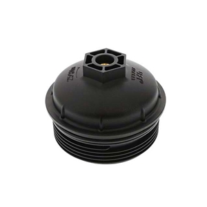 Oil Filter Cover Cap (Screw Cap) - 95810712210