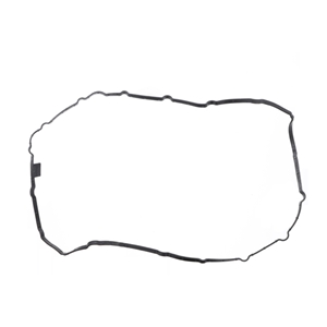 Oil Pan Gasket - 95810364911