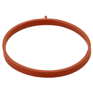 Throttle Body Seal - 95813307300