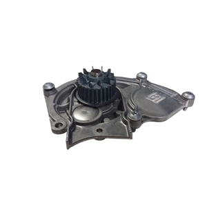 Water Pump with Gasket - PAC121012B