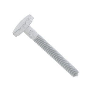 Control Arm Bolt (12 X 100 mm) - PAF007028