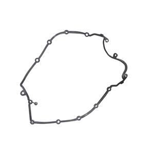 Valve Cover Gasket - C2D3524