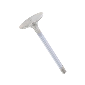Exhaust Valve (43.5 mm) - 99310541906