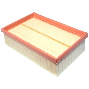 Air Filter - C2P16933