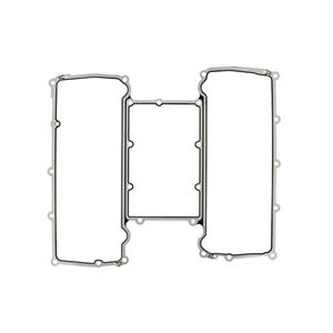 Intake Manifold Gasket - AJ811948