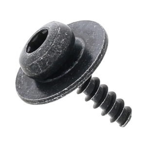 Torx Head Screw w/Washer (5 X 20 mm) - 998164
