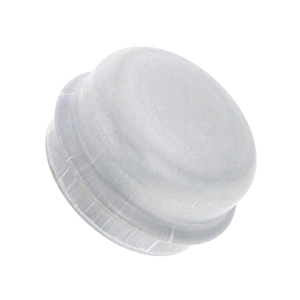Wheel Bearing Dust Cap - 823501249