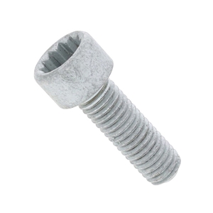 Crankshaft Pulley Bolt (8 X 25 mm) - PAF910059