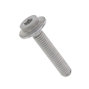 Crankshaft Sealing Flange Bolt (6 X 30 mm) - N10750301