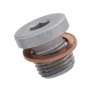 Differential Drain Plug (10 mm) - N90281802