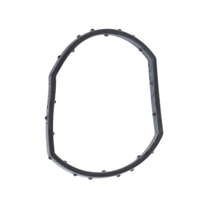 Coolant Thermostat Gasket - 95810674902
