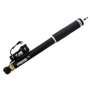 Shock Absorber - 2193260400