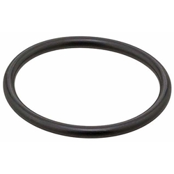 Coolant Thermostat Seal